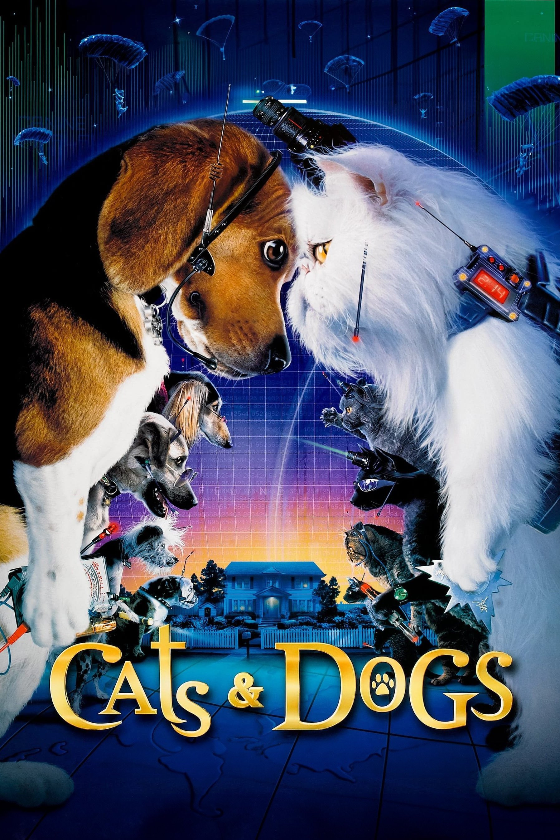 Cats & Dogs